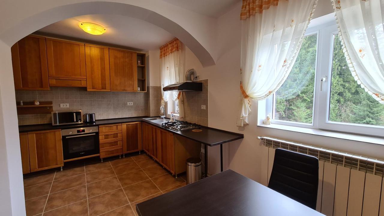 Pensiunea Madalina Durău Exterior photo